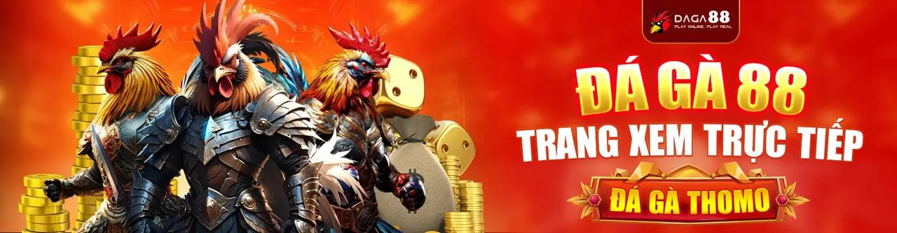 Đá gà trực tuyến tại Caxeng Nhà Cái
